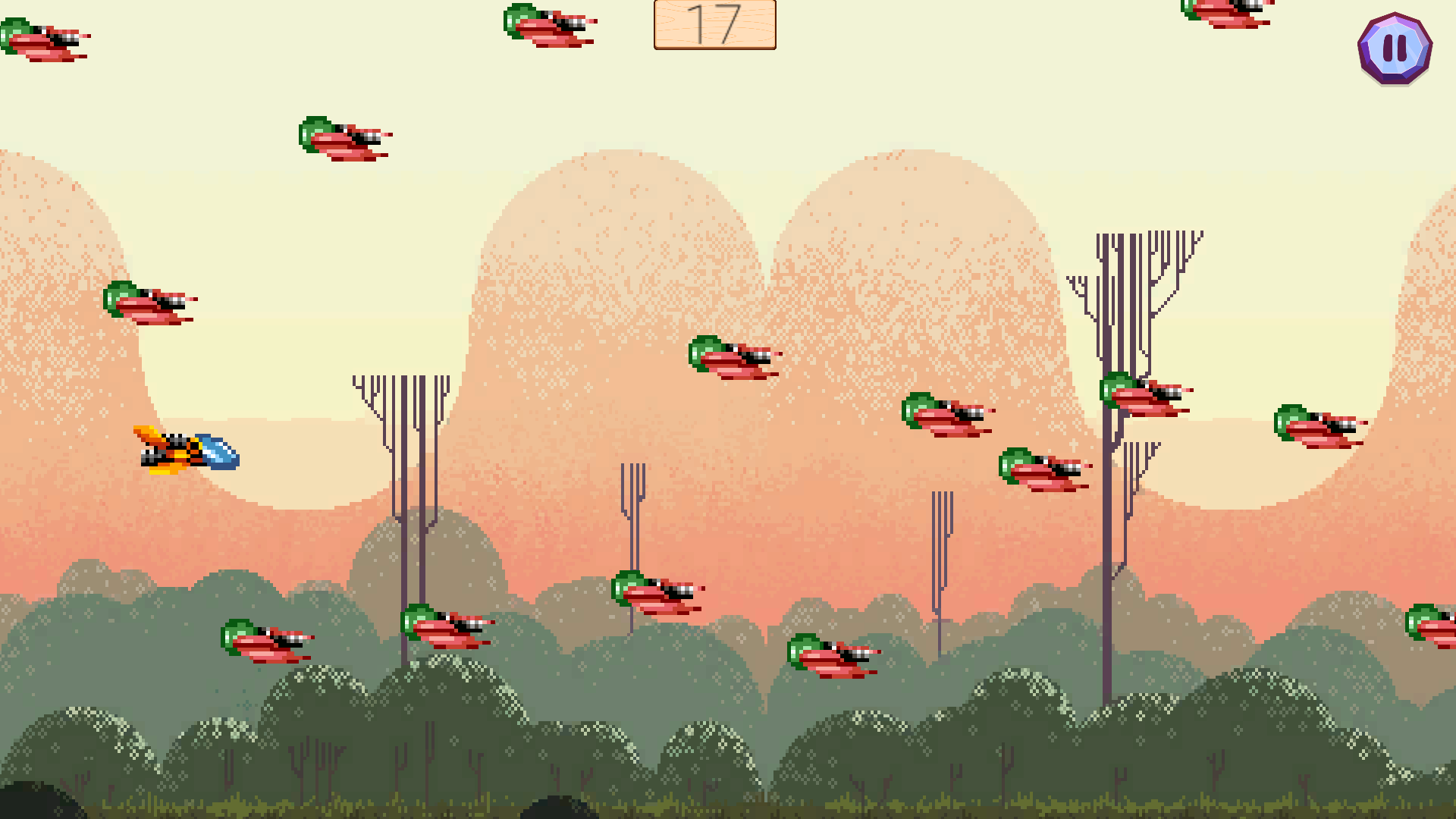 Software Screenshot